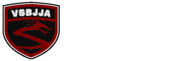 Vitor Shaolin Brazilian Jiu-Jitsu Academy